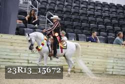23R13_15672 proof
