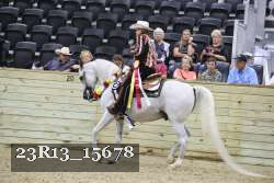 23R13_15678 proof