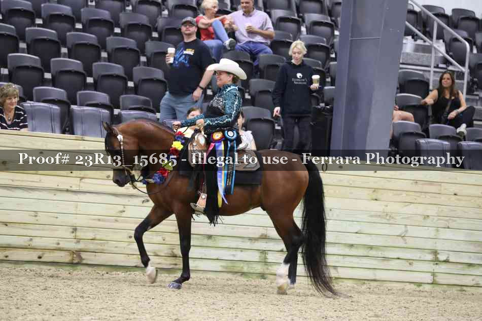Proof 23R13_15685