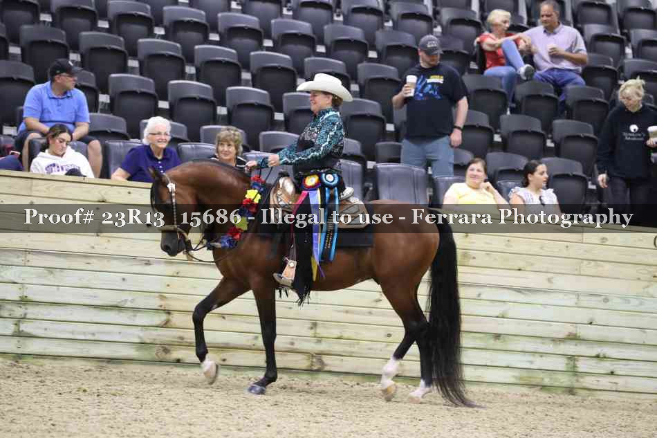 Proof 23R13_15686