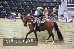 23R13_15687 proof