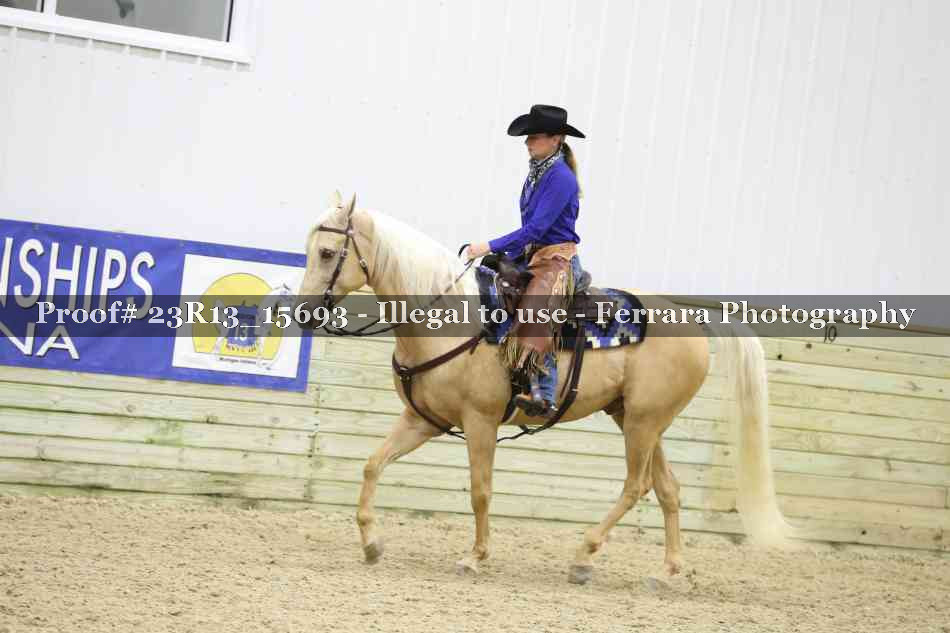 Proof 23R13_15693