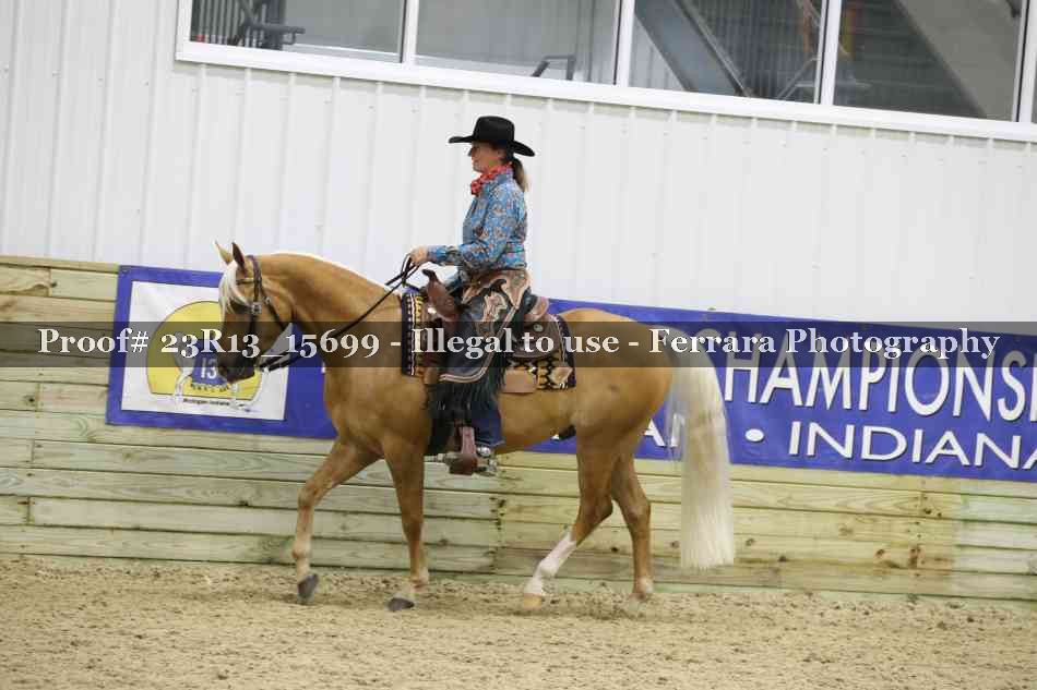 Proof 23R13_15699