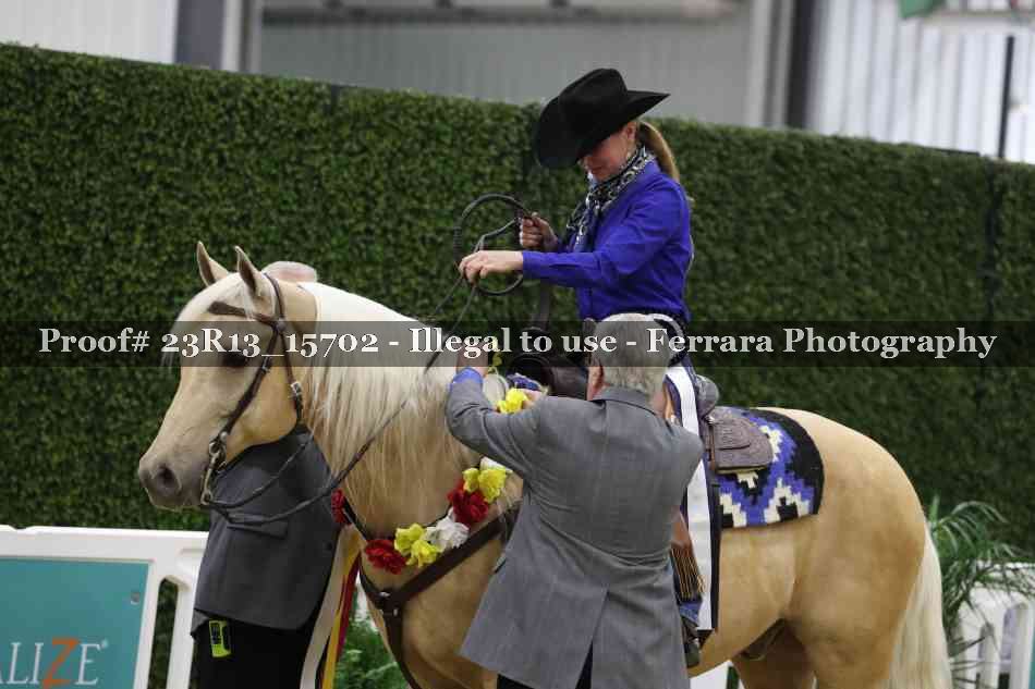 Proof 23R13_15702