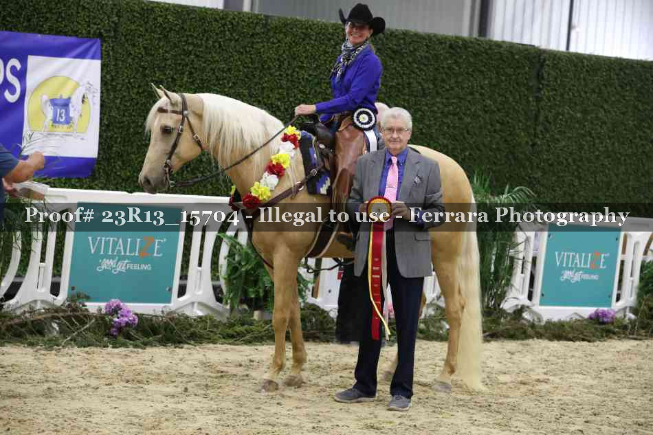 Proof 23R13_15704