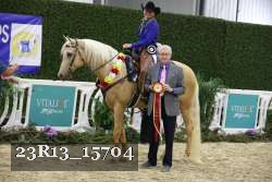 23R13_15704 proof