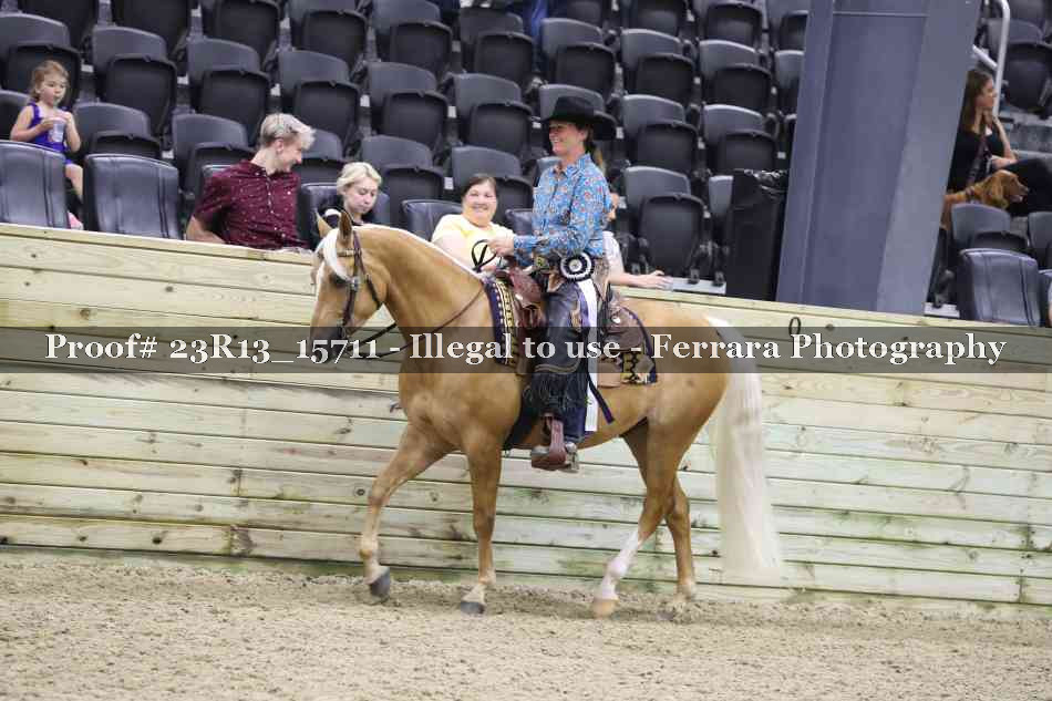 Proof 23R13_15711