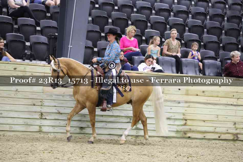 Proof 23R13_15713