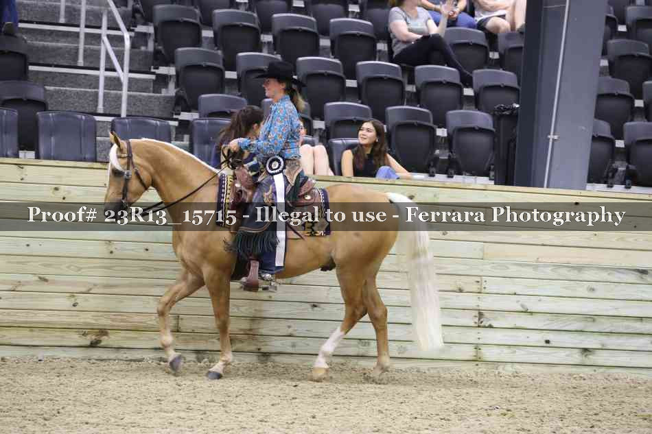 Proof 23R13_15715