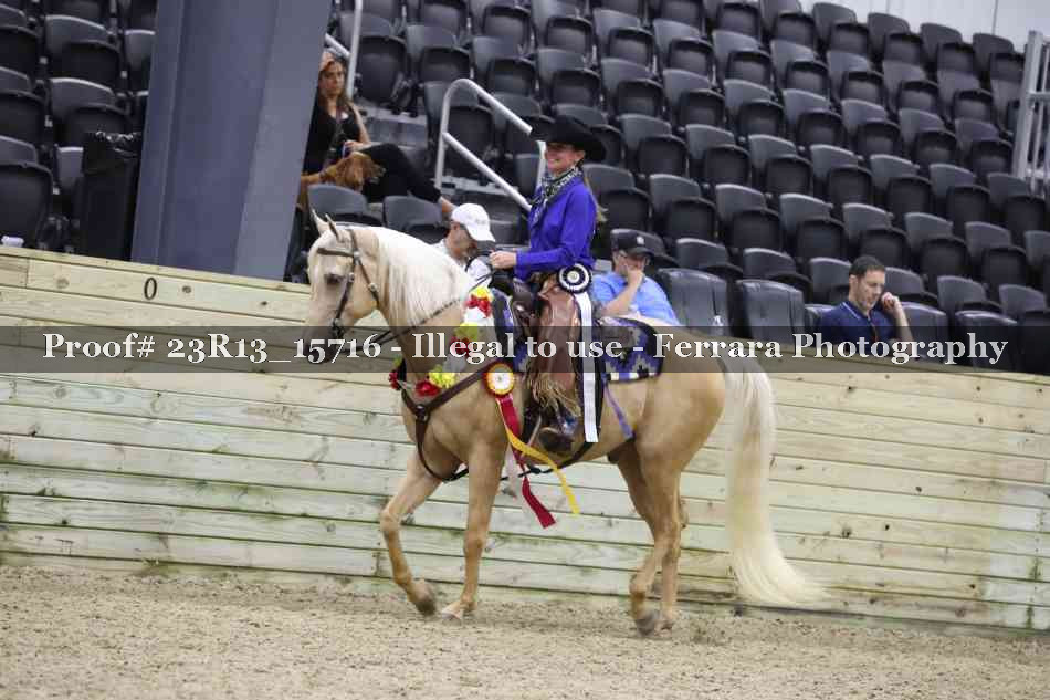 Proof 23R13_15716
