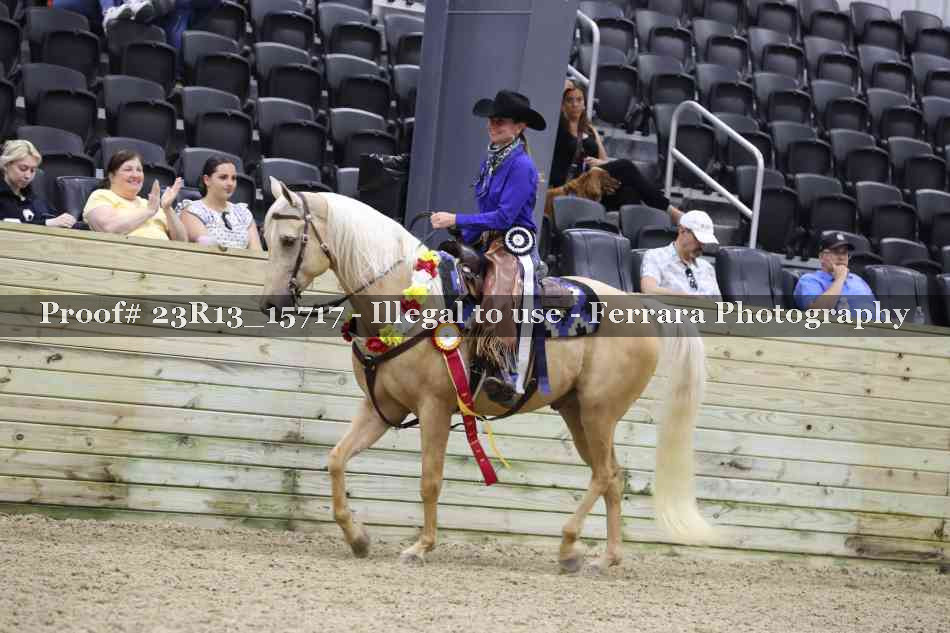 Proof 23R13_15717