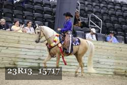 23R13_15717 proof