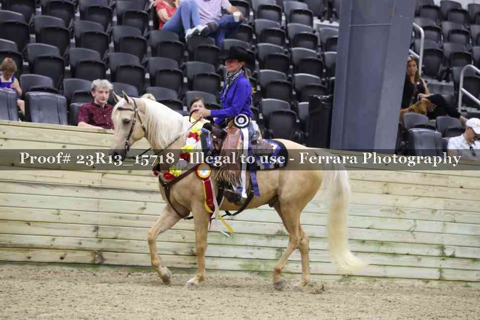 Proof 23R13_15718