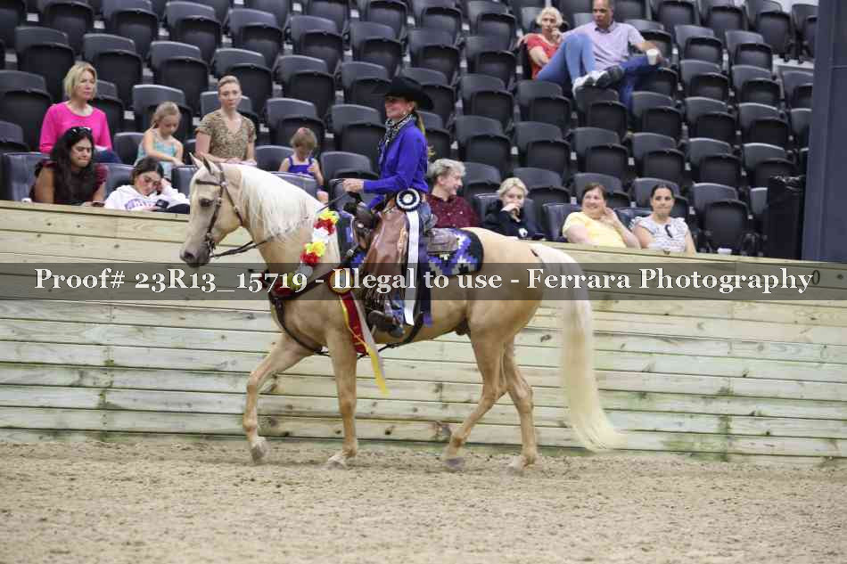 Proof 23R13_15719
