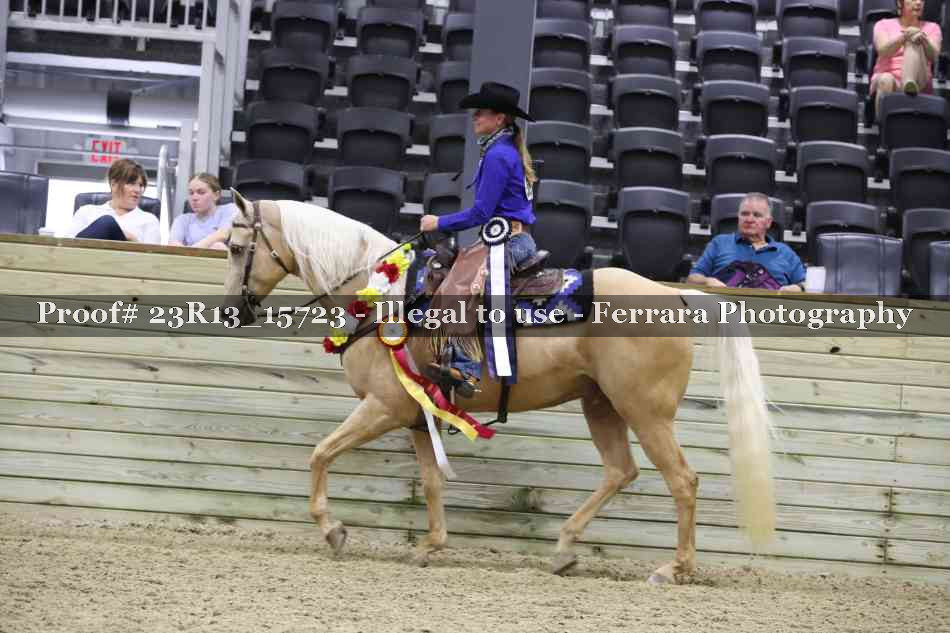 Proof 23R13_15723