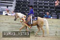 23R13_15723 proof