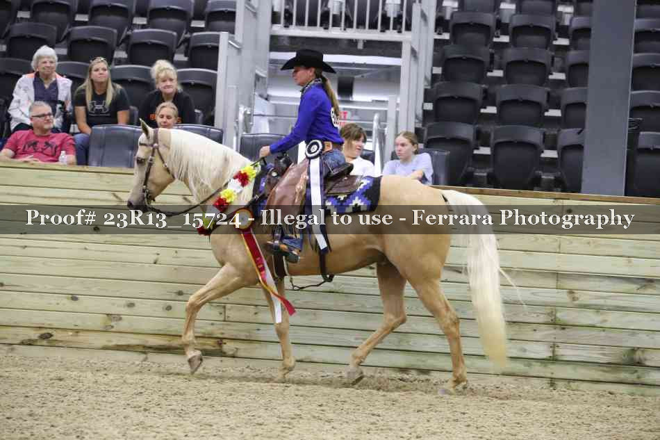 Proof 23R13_15724