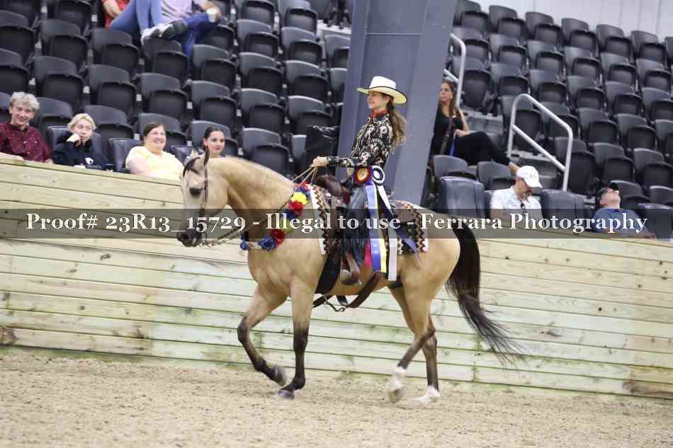 Proof 23R13_15729