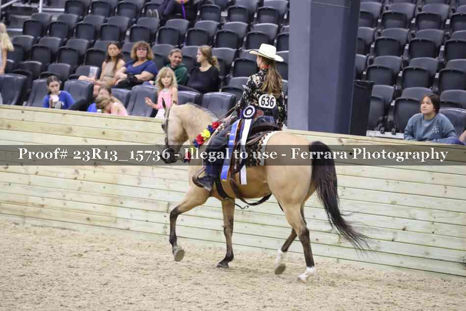 Proof 23R13_15736