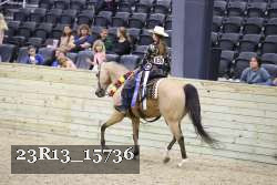 23R13_15736 proof