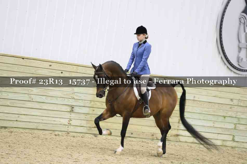 Proof 23R13_15737