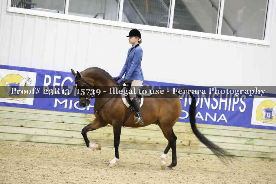 Proof 23R13_15739