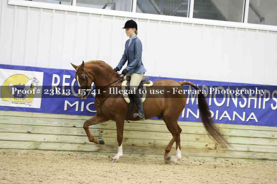 Proof 23R13_15741