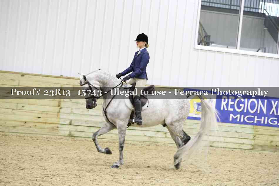 Proof 23R13_15743