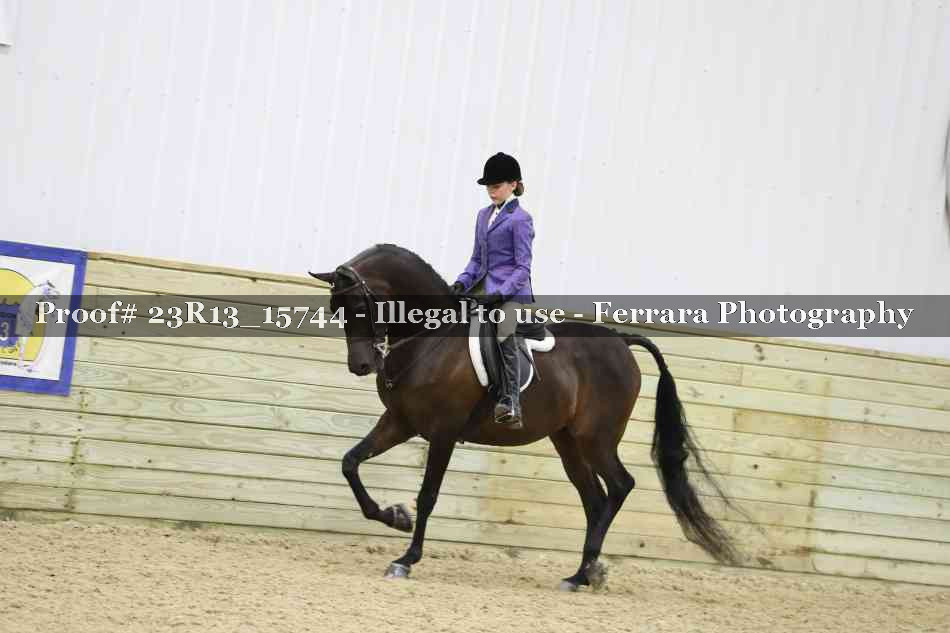 Proof 23R13_15744