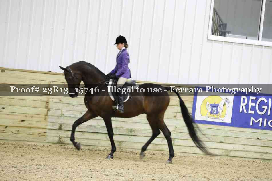 Proof 23R13_15746