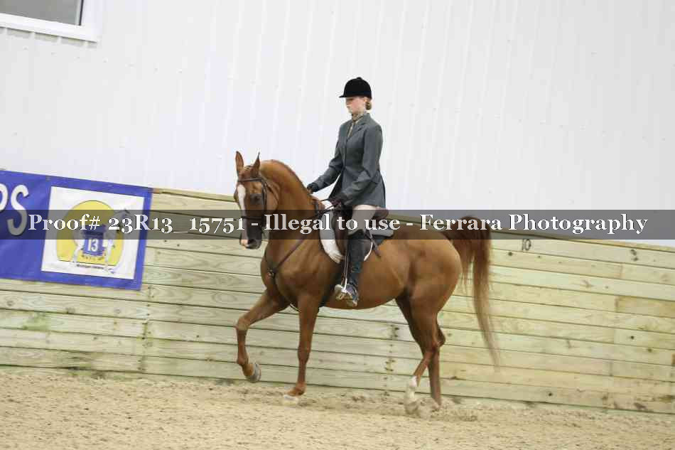 Proof 23R13_15751