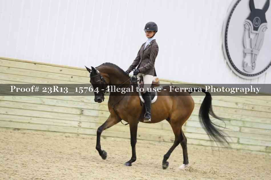 Proof 23R13_15764