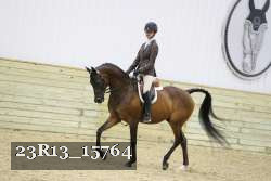 23R13_15764 proof