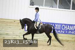 23R13_15766 proof