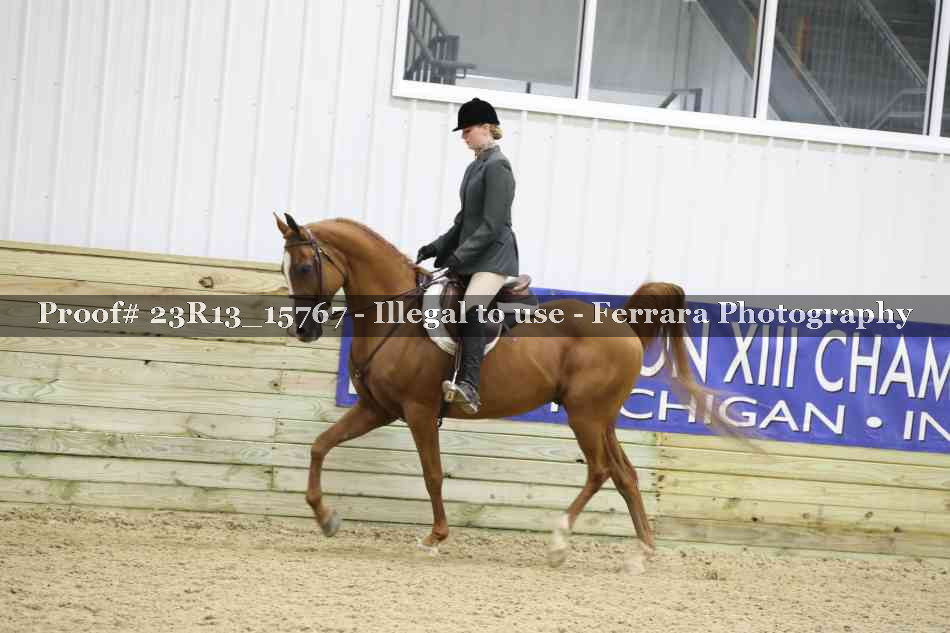 Proof 23R13_15767