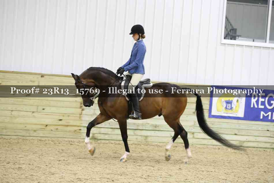 Proof 23R13_15769