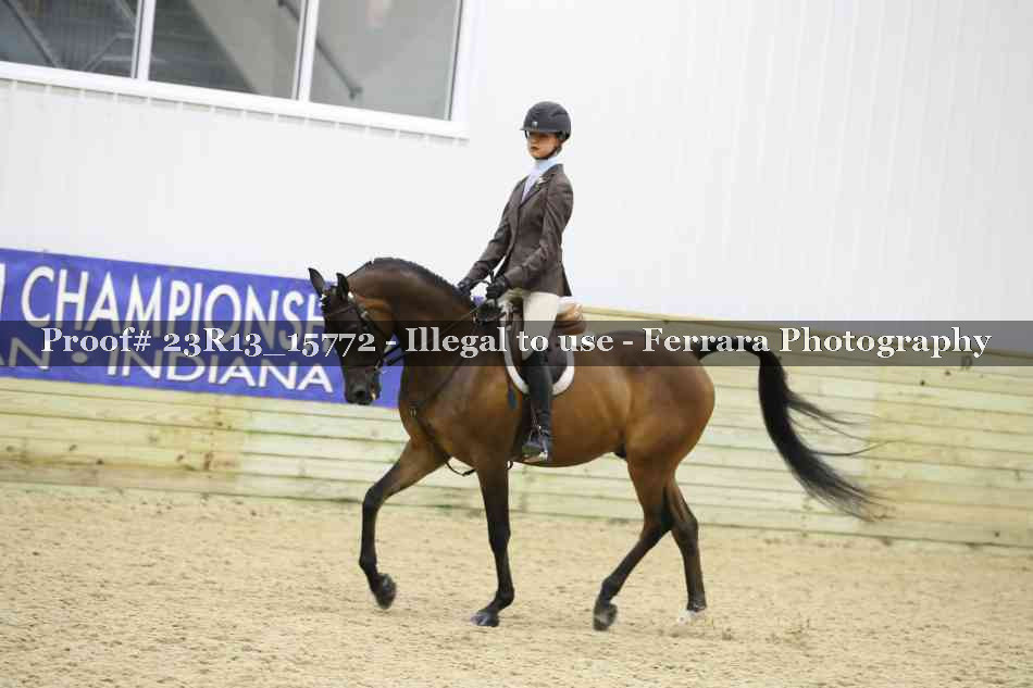 Proof 23R13_15772