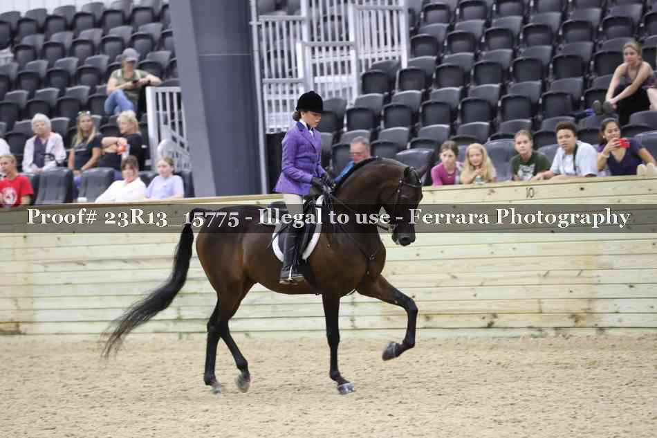 Proof 23R13_15775