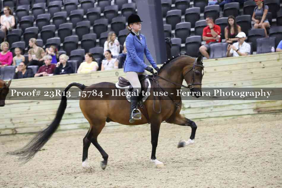 Proof 23R13_15784