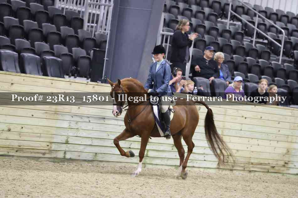 Proof 23R13_15801