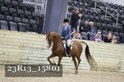 23R13_15801 proof
