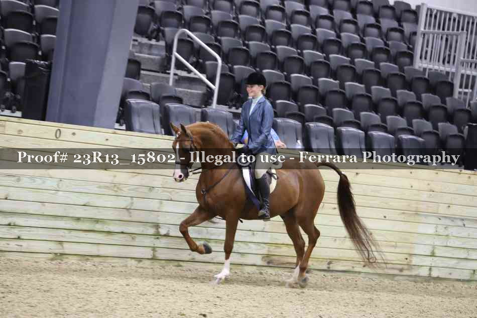 Proof 23R13_15802