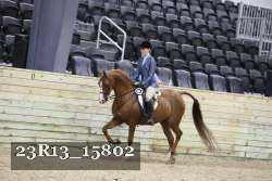 23R13_15802 proof