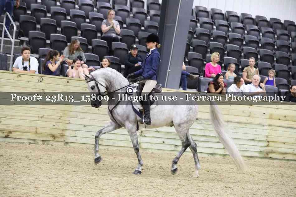 Proof 23R13_15809