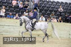 23R13_15810 proof