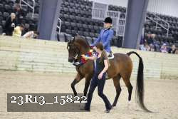 23R13_15822 proof