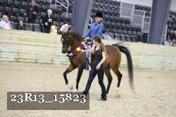 23R13_15823 proof