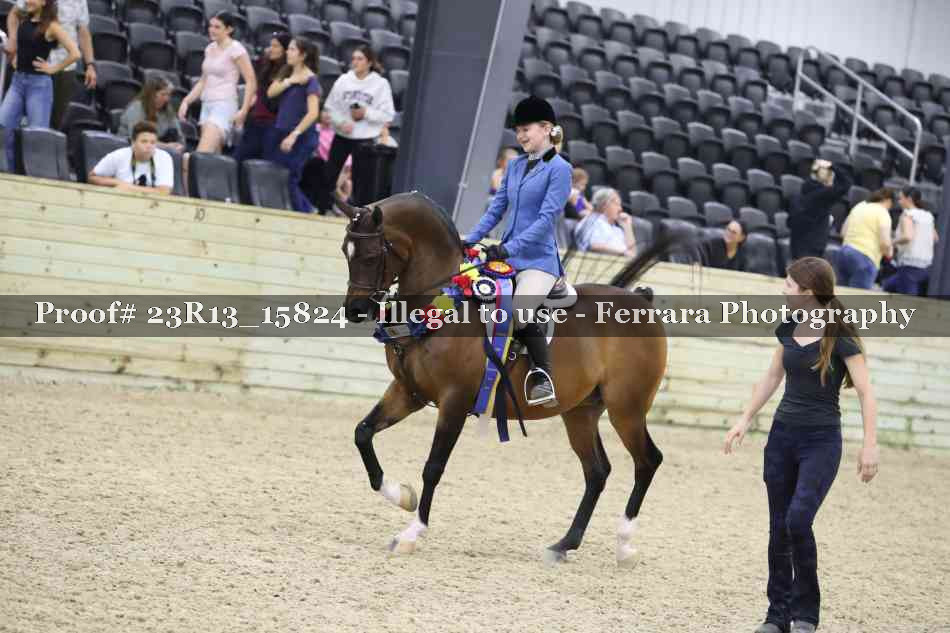 Proof 23R13_15824