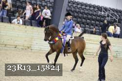 23R13_15824 proof