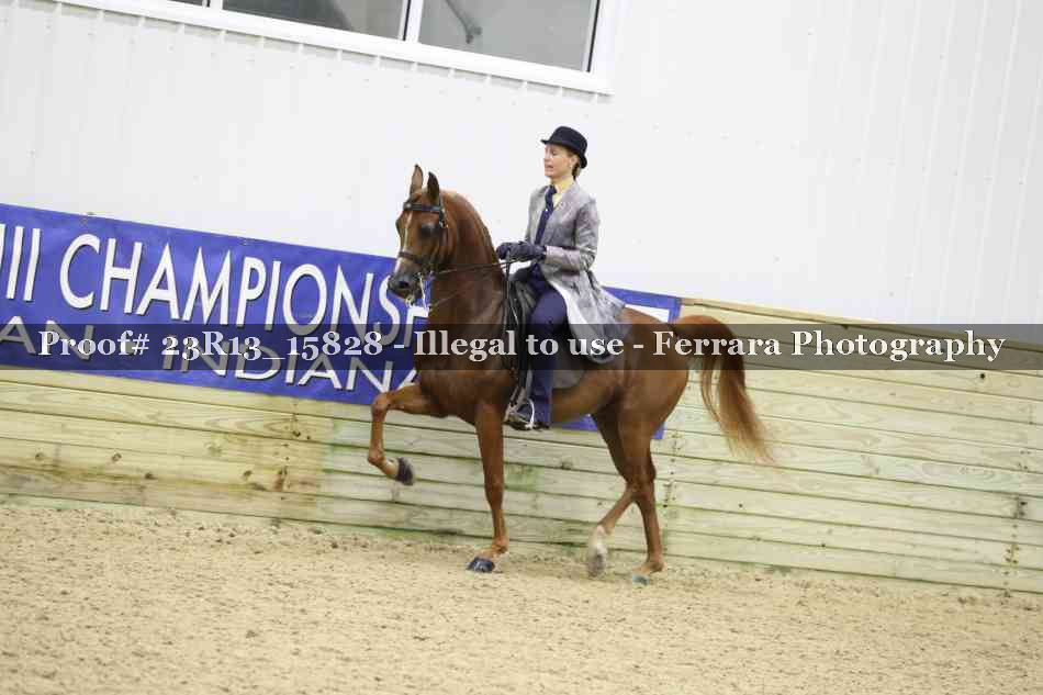 Proof 23R13_15828